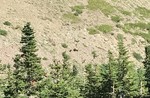 2017-07-09 :2: Cracker Lake :: FOTG