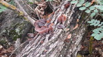 photo thumbnail #9