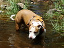 photo thumbnail #6