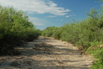photo thumbnail #1