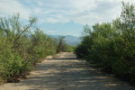 photo thumbnail #2
