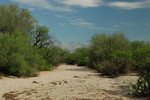 photo thumbnail #8