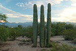 photo thumbnail #2