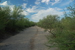 photo thumbnail #5
