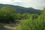 photo thumbnail #8