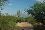photo thumbnail #10