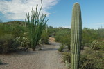 photo thumbnail #11