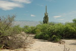 photo thumbnail #13