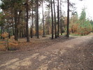photo thumbnail #1