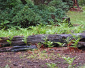 photo thumbnail #13