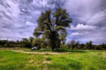 photo thumbnail #3
