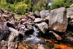 photo thumbnail #12