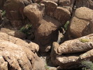 photo thumbnail #8