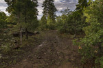 photo thumbnail #8