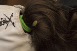 photo thumbnail #13