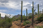 photo thumbnail #3