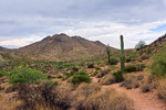 photo thumbnail #5