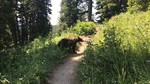 photo thumbnail #9