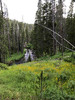 photo thumbnail #3