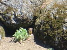 photo thumbnail #14