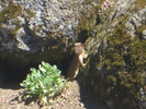 photo thumbnail #15