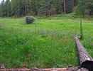 photo thumbnail #4