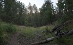 photo thumbnail #5