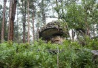 photo thumbnail #9