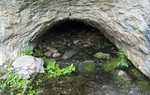photo thumbnail #14