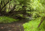 photo thumbnail #6