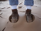 photo thumbnail #1