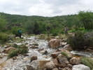 photo thumbnail #11
