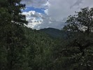 photo thumbnail #10