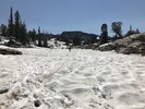 photo thumbnail #12