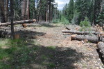 photo thumbnail #9