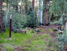 photo thumbnail #10