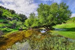 photo thumbnail #5