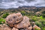 photo thumbnail #10