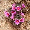 photo thumbnail #3