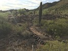 photo thumbnail #3