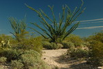 photo thumbnail #6