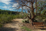 photo thumbnail #9