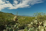 photo thumbnail #10