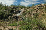 photo thumbnail #13