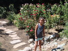 photo thumbnail #9