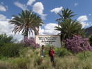 photo thumbnail #10