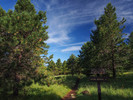 photo thumbnail #5