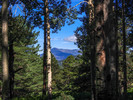 photo thumbnail #10