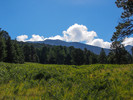photo thumbnail #11