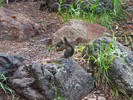 photo thumbnail #15